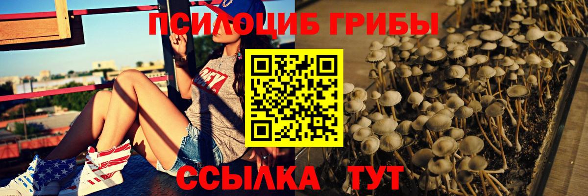 Псилоцибиновые грибы Magic Shrooms Красноперекопск